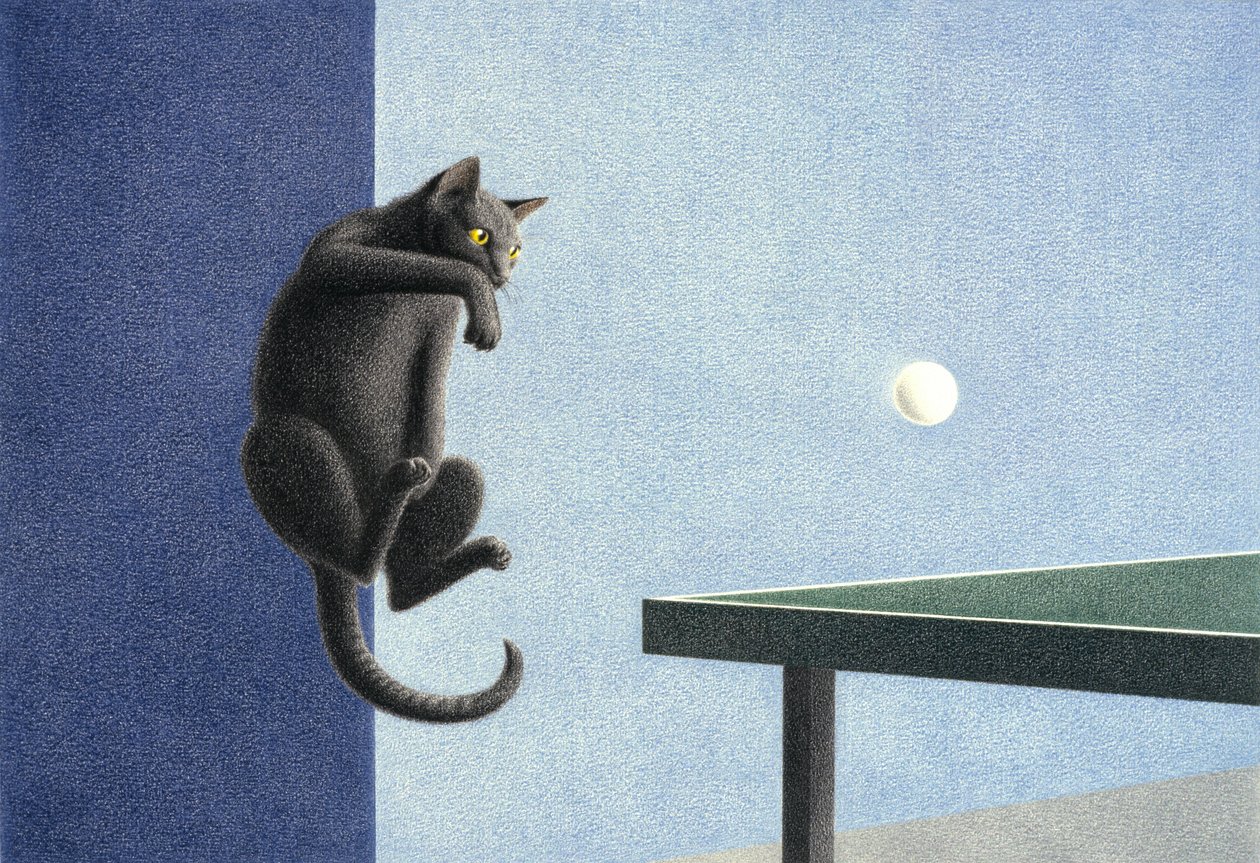 Pöytätennis tekijältä Rene Boin
