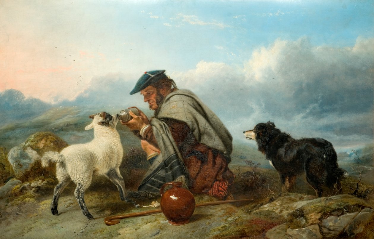 Sairas lammas, 1853 tekijältä Richard Ansdell