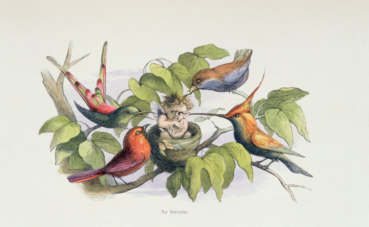 Intruder, kuvitus William Allinghamin ja Andrew Langin teoksesta "In Fairyland: A Series of Pictures from the Elf-World" tekijältä Richard Doyle