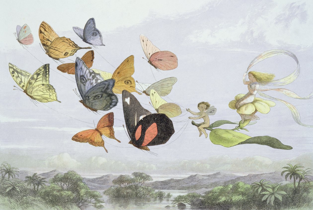 Keijukuningataren vaunut, kuvitus William Allinghamin ja Andrew Langin teoksesta "In Fairyland: A Series of The Series from the Elf-World" tekijältä Richard Doyle