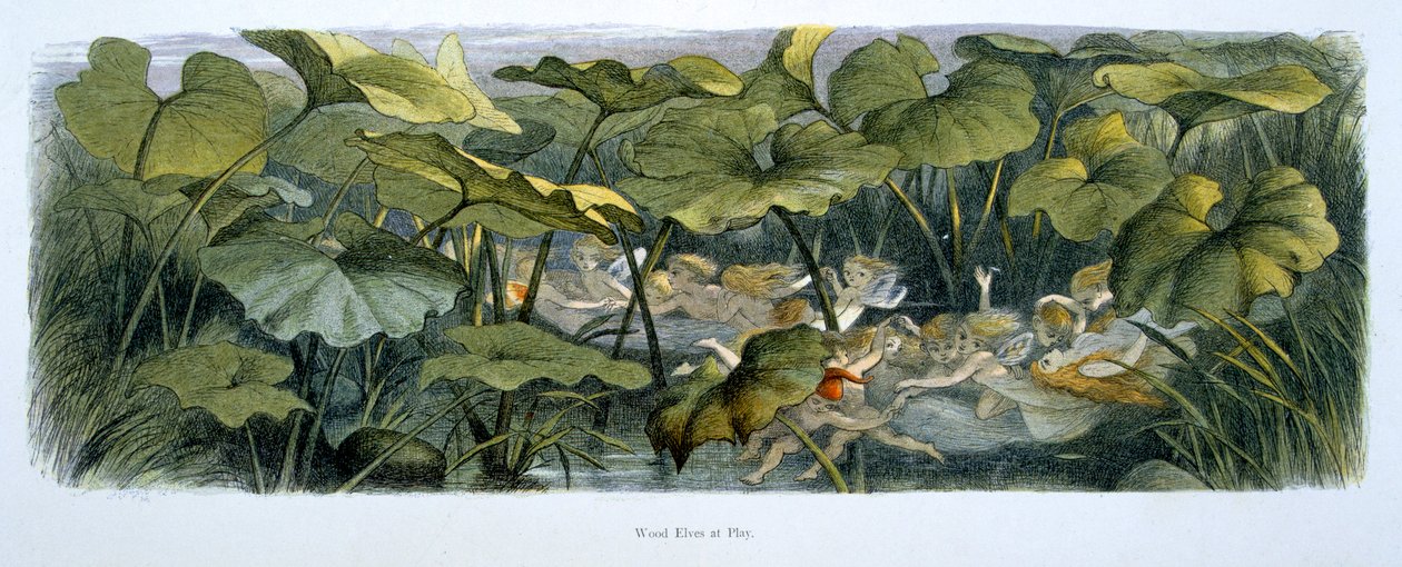 Wood Elves at Play, kuvitus elokuvasta "In Fairyland: Kuvia tonttumaailmasta" tekijältä Richard Doyle