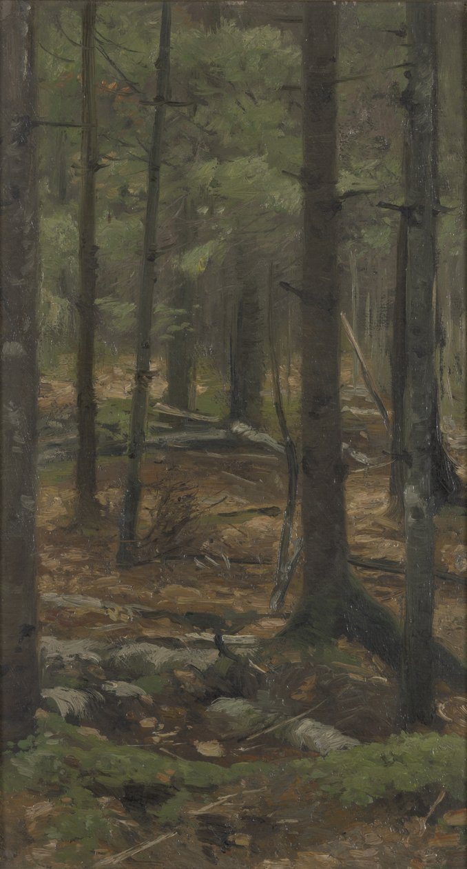 In het woud van Rominten tekijältä Richard Friese