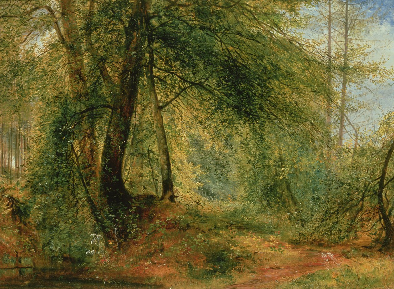 Woodland Mirror, 1800-luku tekijältä Richard Redgrave