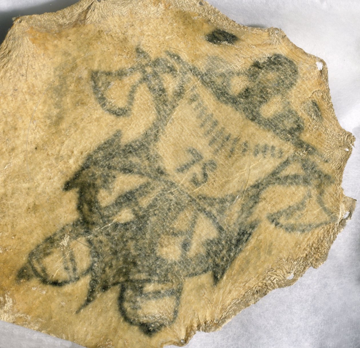 Ihmisen iho, tatuoitu merivoimien merkki, ranska tekijältä John Pardon