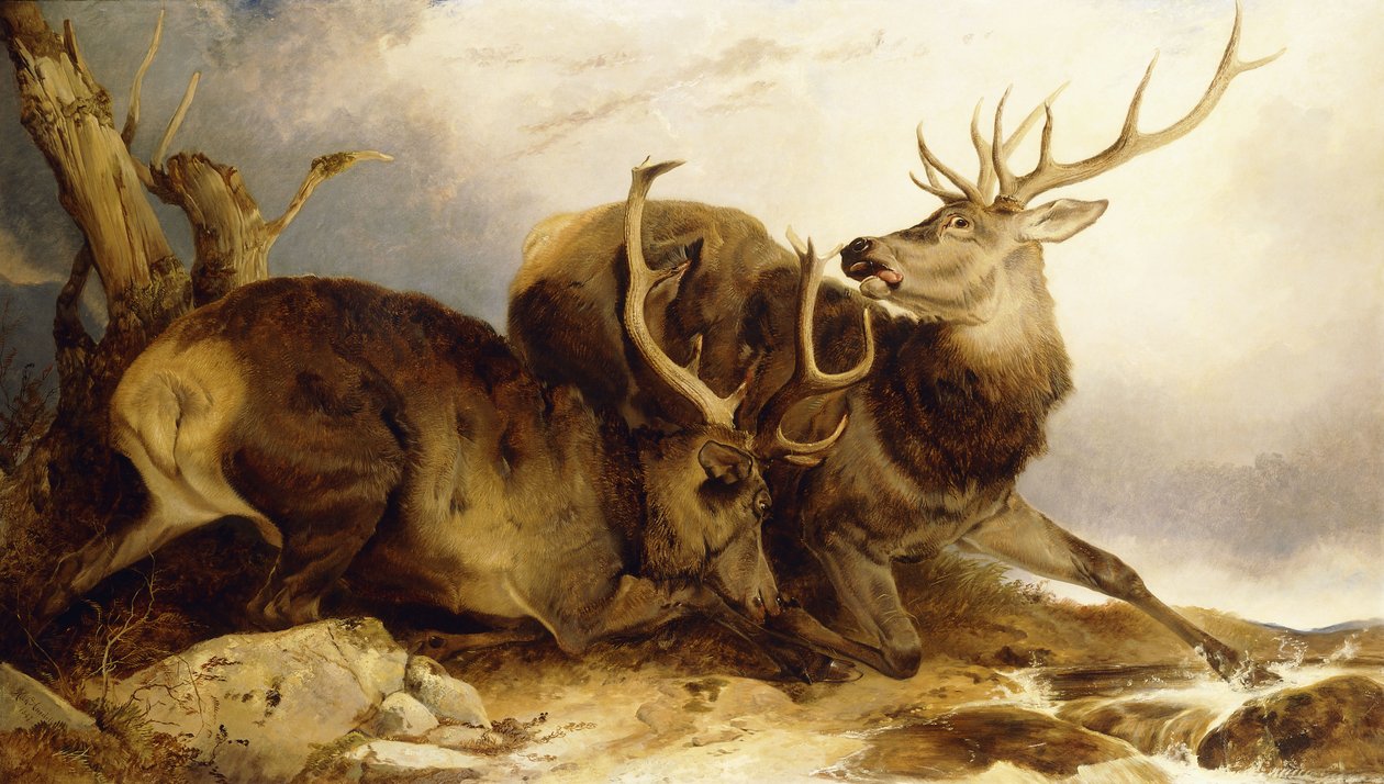 Taistelu, 1847 tekijältä Richard Ansdell