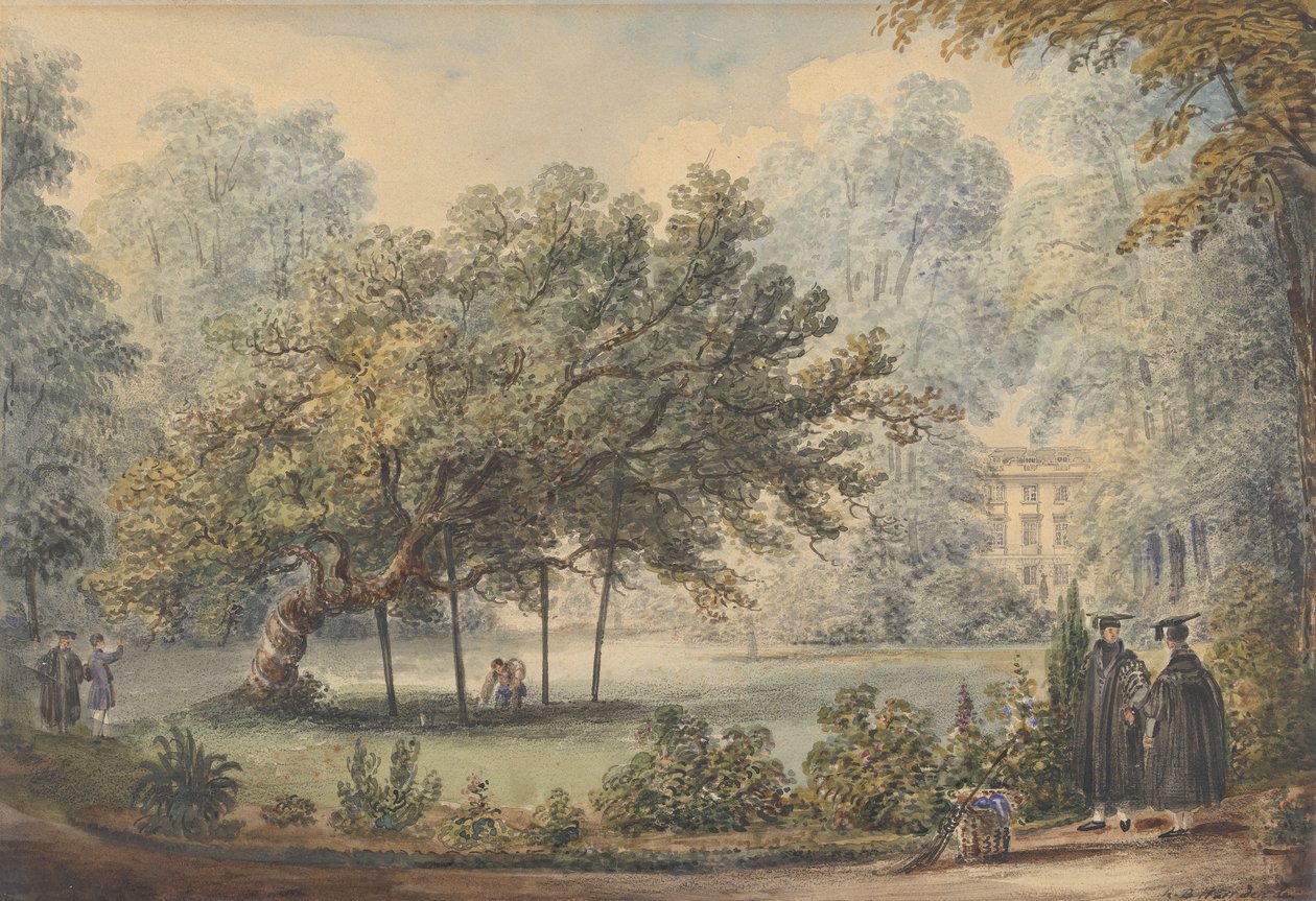 Miltonin Mulberry Tree, Christ
