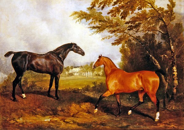 Equestrian Scene (öljy kankaalle) tekijältä Richard Barrett Davis