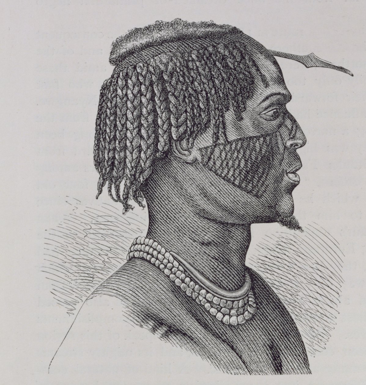 A Zandeh, Prof. Friedrich Ratzelin teoksesta The History of Mankind, Vol. III, 1898 tekijältä Richard Buchta