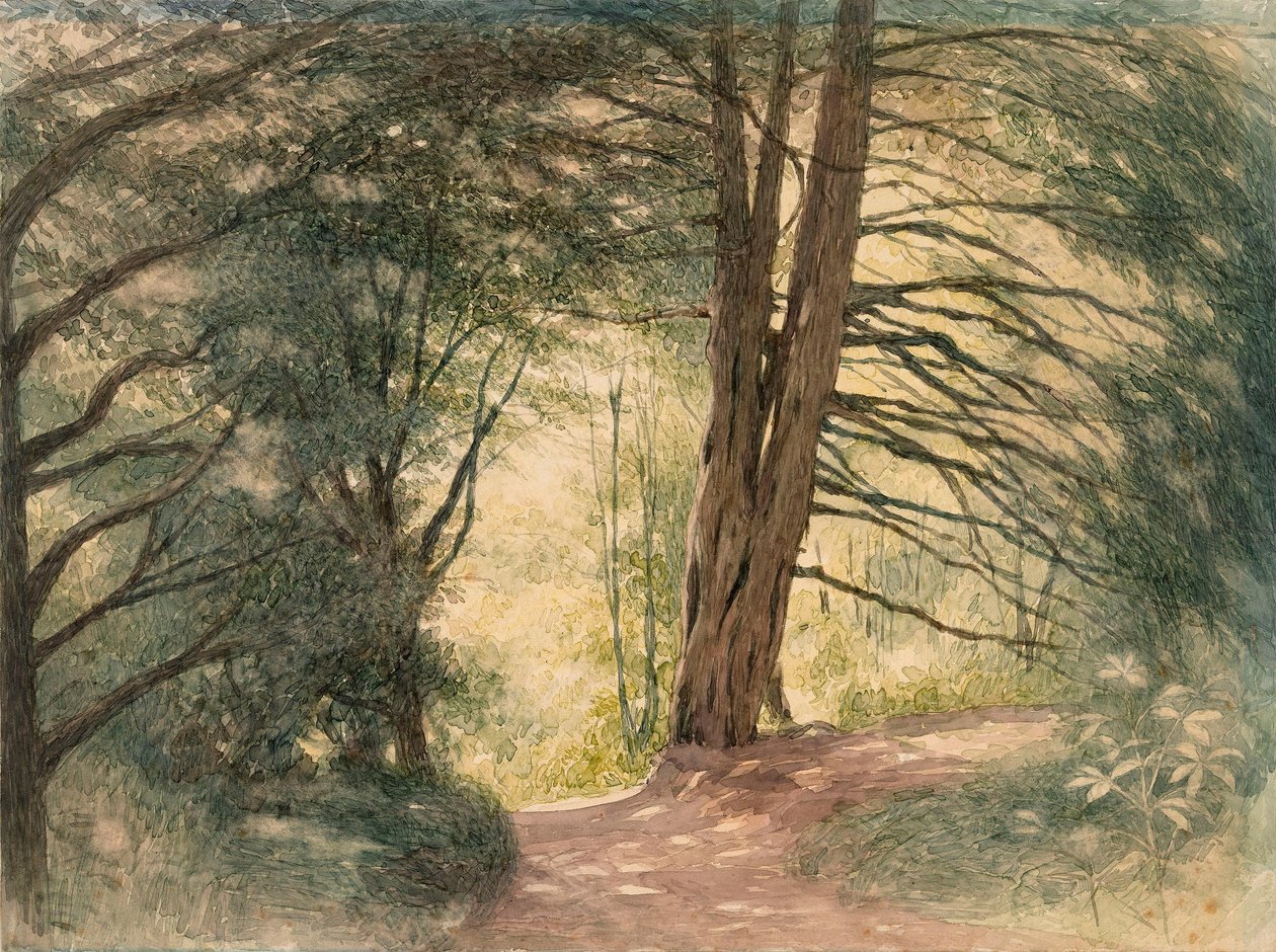 Box Hill, Surrey tekijältä Richard Doyle
