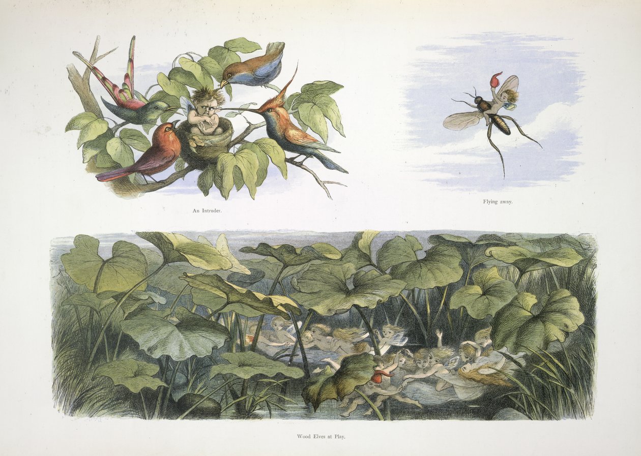 Haltiat tekijältä Richard Doyle
