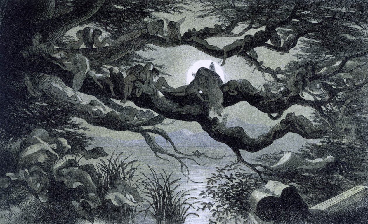 Keijuja, nymfiä ja tonttuja lepäämässä kuunvalossa oksalla? Kuva "" Satumaassa. Sarja kuvia tonttumaailmasta"" Richard Doyle 1869-1870 British Library Institution Viite: Shelfmark ID: 1876 e18 
