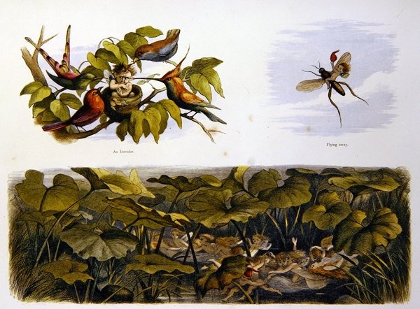 Keijumaassa tekijältä Richard Doyle