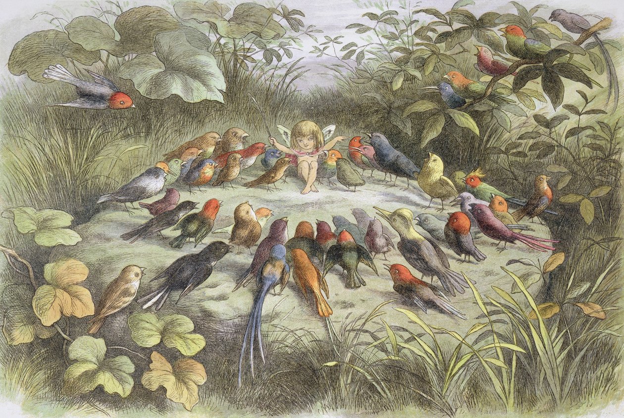 Musiikkiharjoitus keijumaassa (kuva teoksesta "Keijumaassa. Kuvia keijumaailmasta", William Allingham ja Andrew Lang tekijältä Richard Doyle