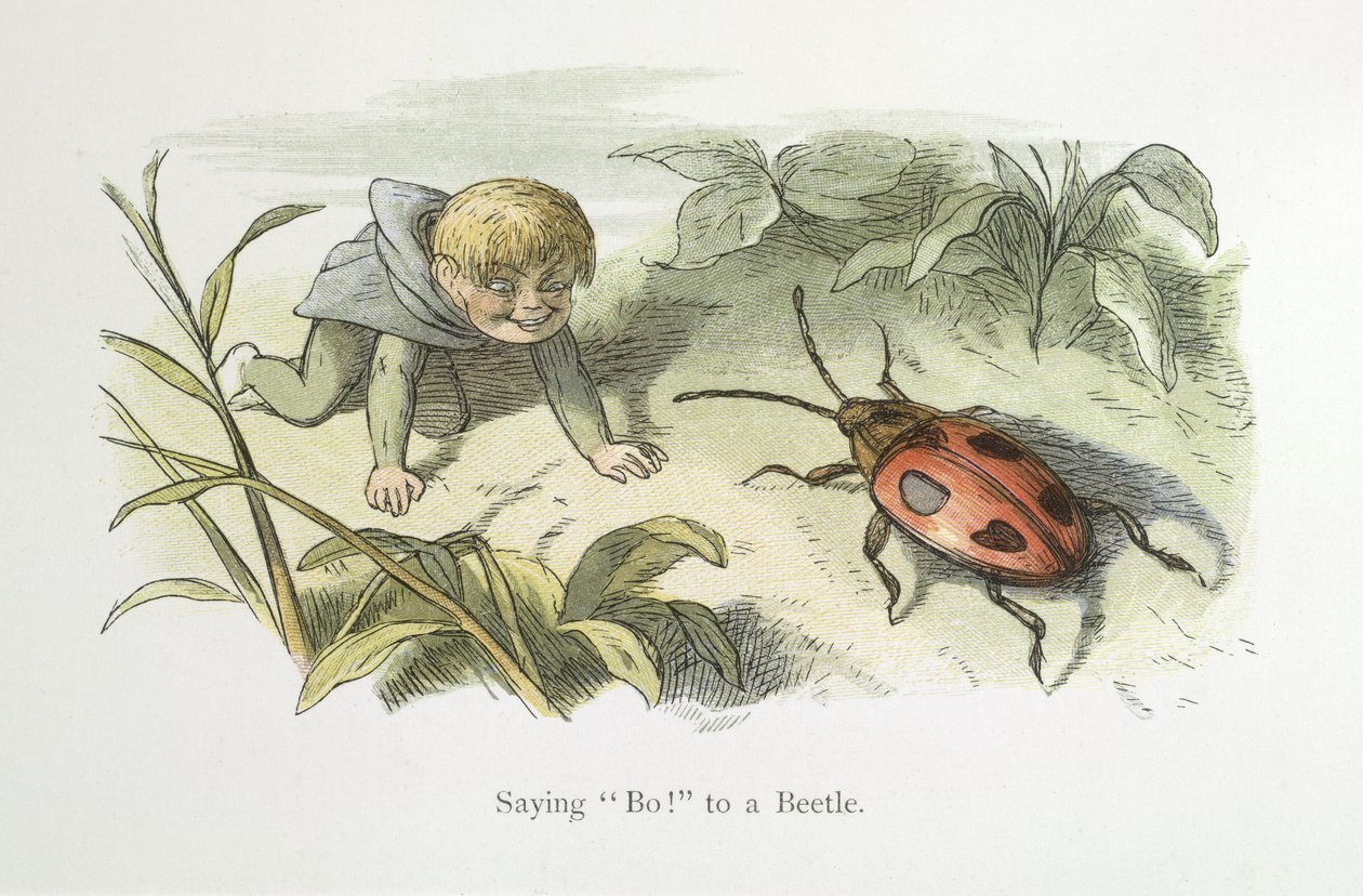 Sanoen Ei! kovakuoriaiselle tekijältä Richard Doyle