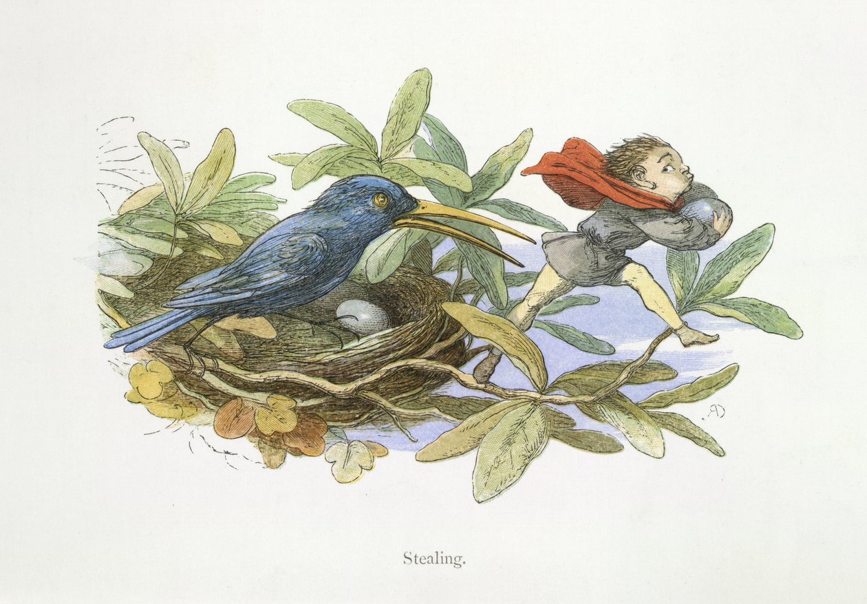 Varastaminen tekijältä Richard Doyle