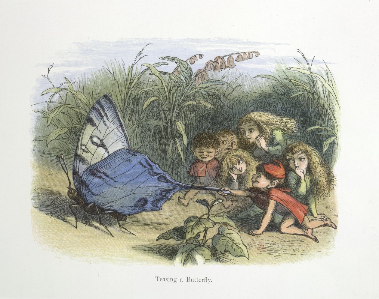 Perhosen kiusaaminen tekijältä Richard Doyle