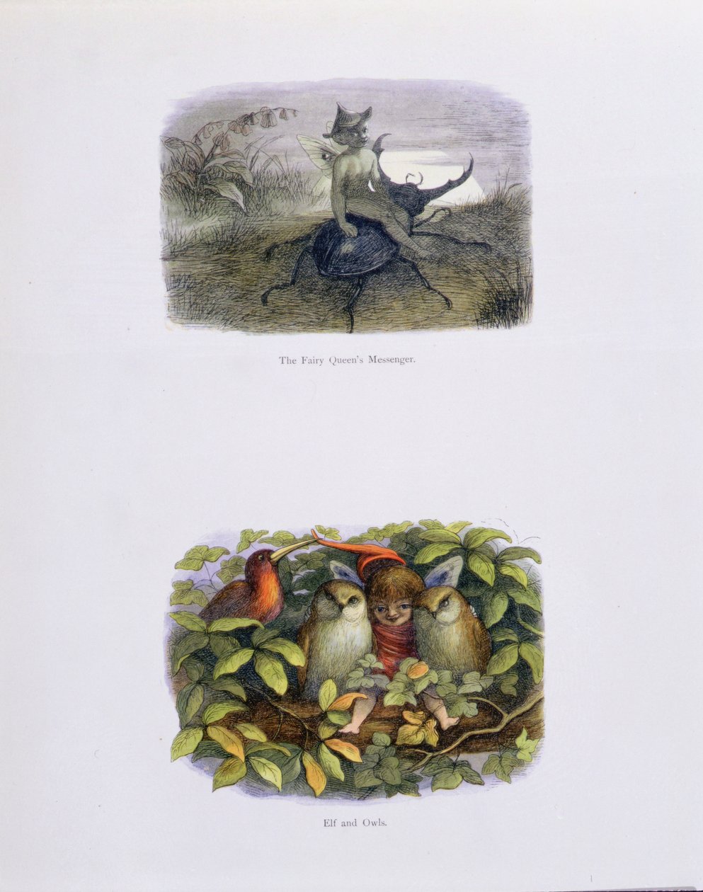 The Fairy Queen