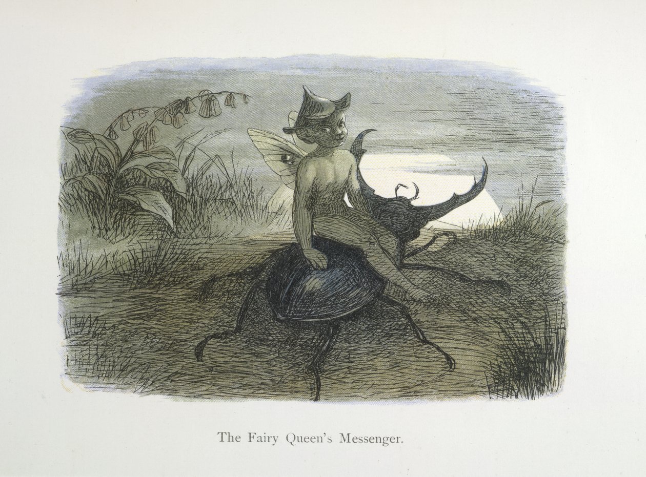 Keijukuningattaren sanansaattaja tekijältä Richard Doyle