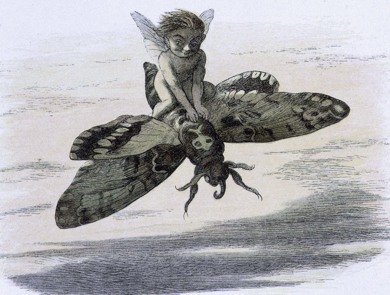 Un elfe chevauchant un papillon. Kuvitus Richard Doyle renkaasta ""Keijumaassa". Sarja kuvia tonttumaailmasta"" compagnee d