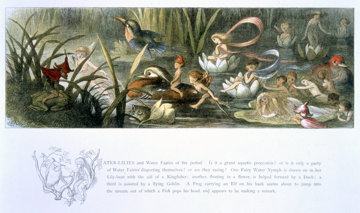 Vesililjat ja vesikeijut, kuvitus William Allinghamin ja Andrew Langin teoksesta "In Fairyland: A Series of Pictures from the Elf-World" tekijältä Richard Doyle