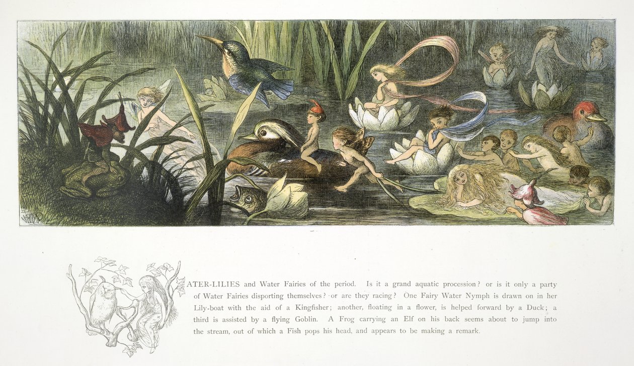Vesililjat ja vesikeijut tekijältä Richard Doyle