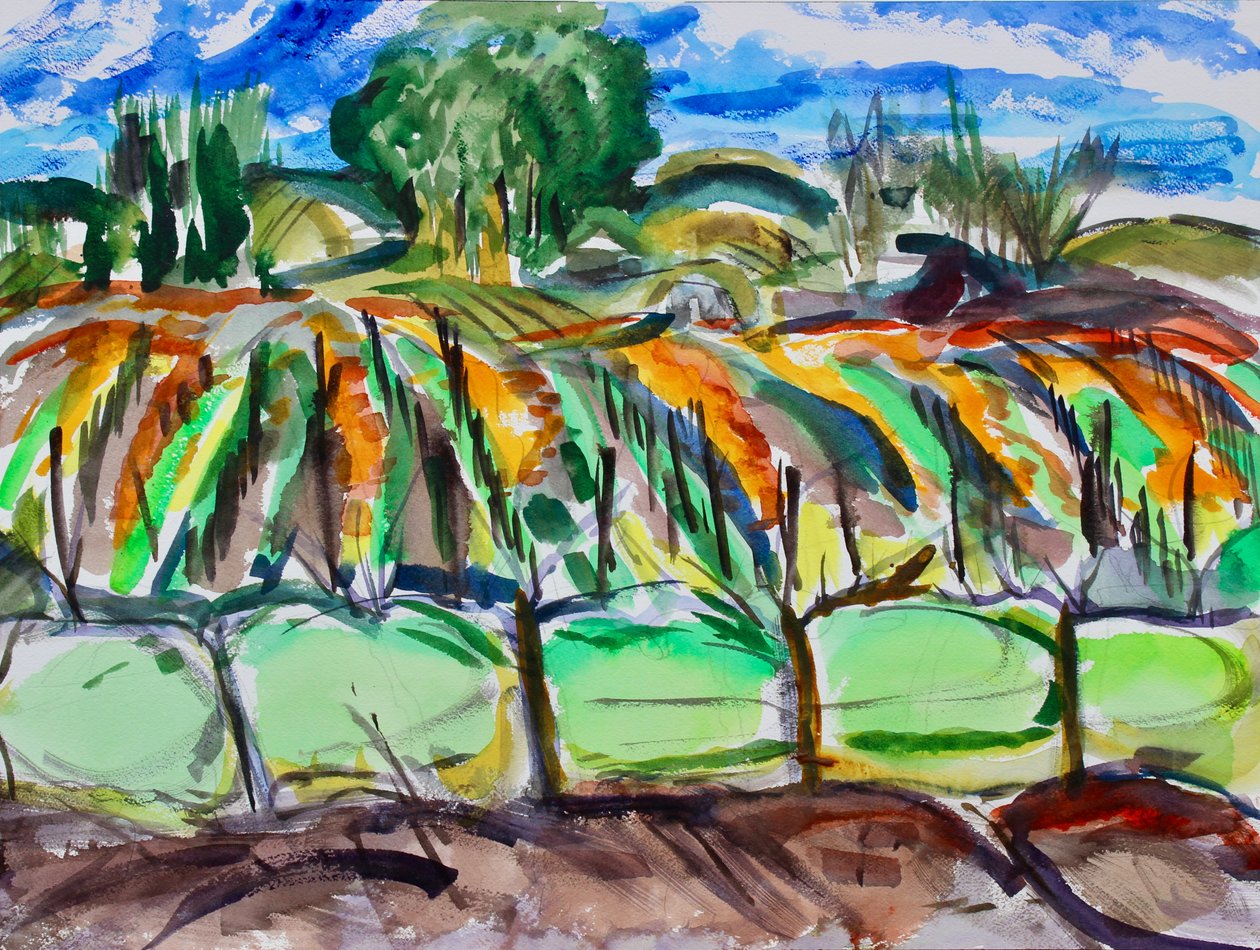 Autumn Vineyards, Napa, 2017 tekijältä Richard Fox
