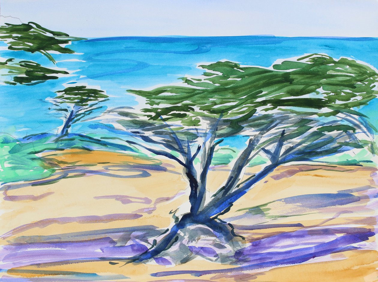 Cypress Tree, Carmel Bay, 2019 tekijältä Richard Fox