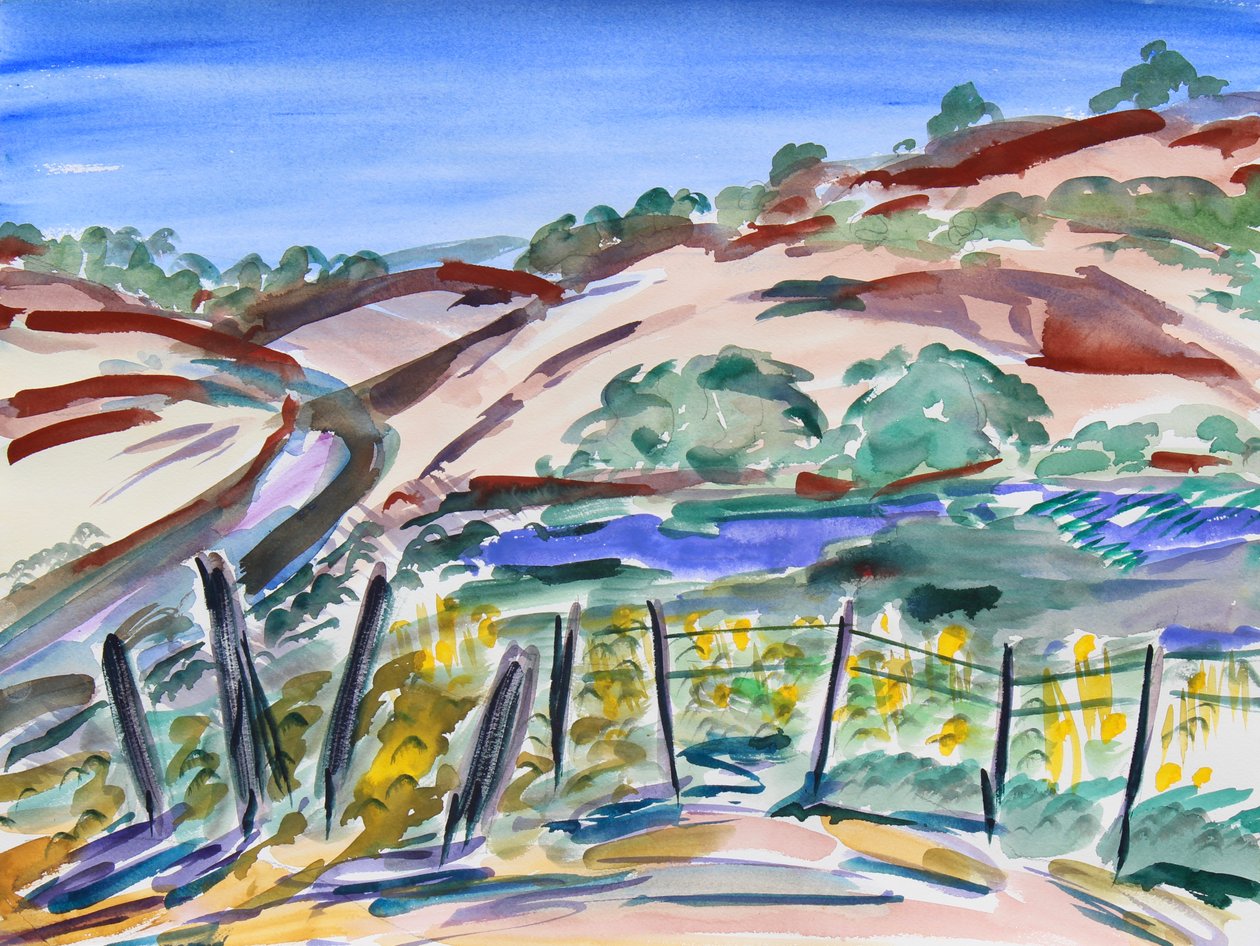 Dry Hills, Pohjois-Kalifornia, 2021 (akvarelli paperille) tekijältä Richard Fox