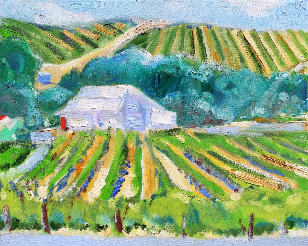 White Barn and Vineyard, Napa, 2019 tekijältä Richard Fox
