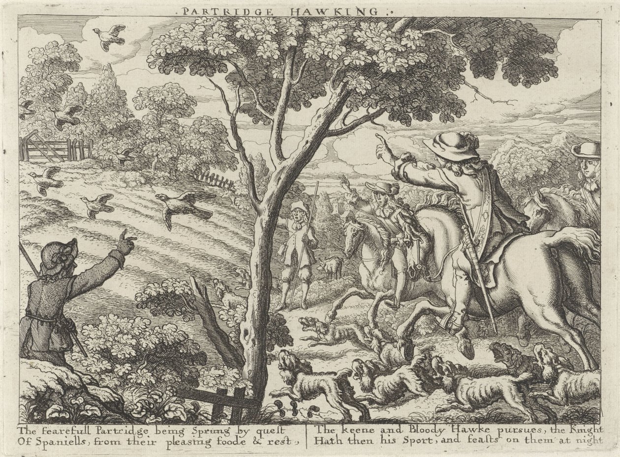 Jacht op patrijsvogels Partridge Hawking (otsikko esineessä) Jachtpartijen (sarjan nimi) Useita metsästys-, hawking- ja kalastustapoja englannin kielen mukaan (sarjan nimi) tekijältä Richard Gaywood (possibly)