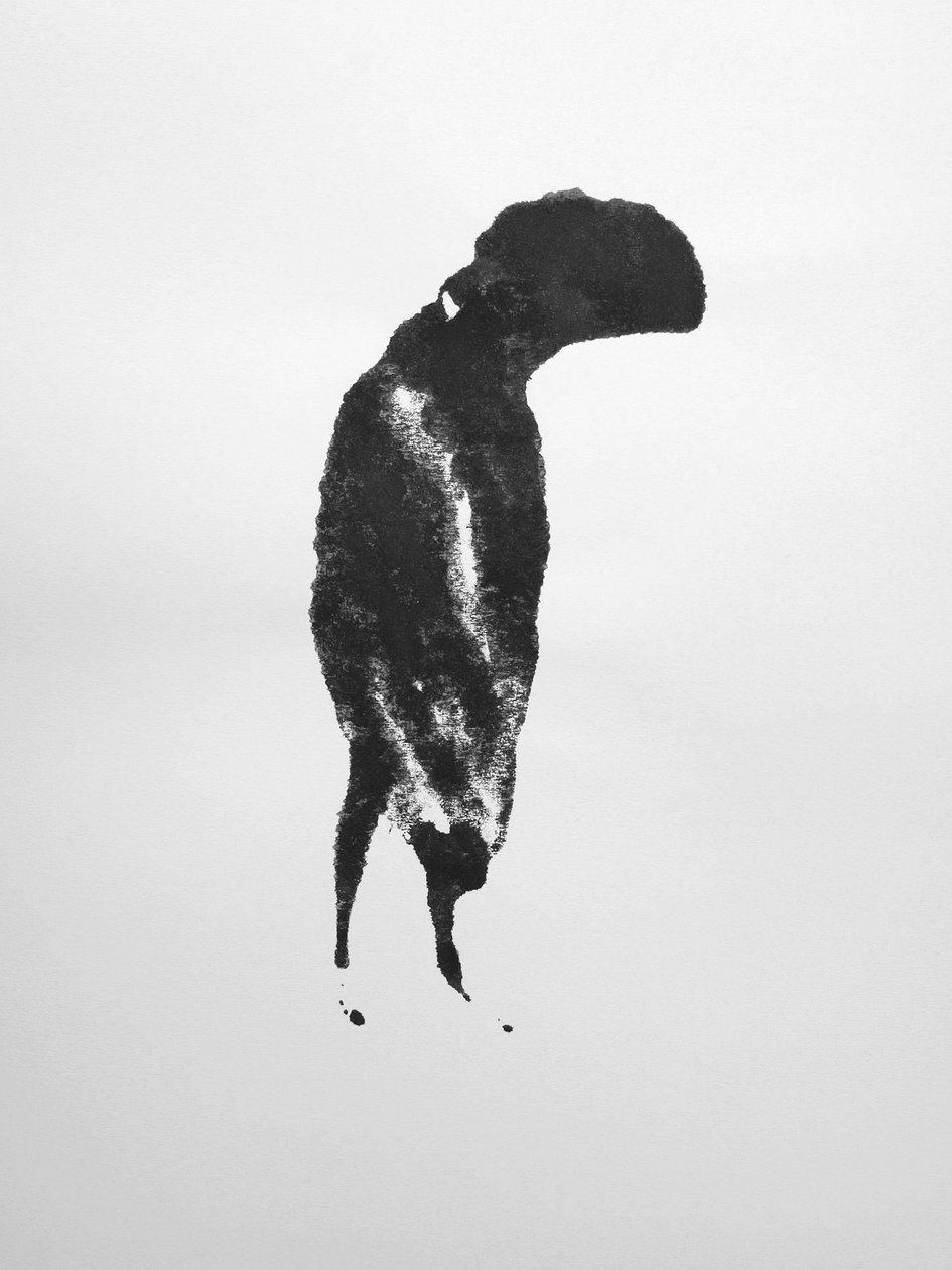 Nimetön, 2009 (monotypia) tekijältä Richard Green