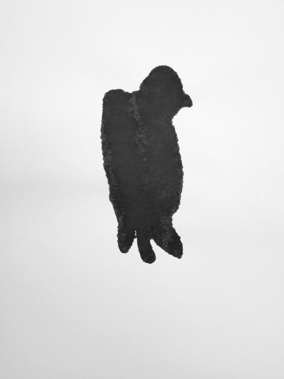 Nimetön, 2009 (monotypia) tekijältä Richard Green