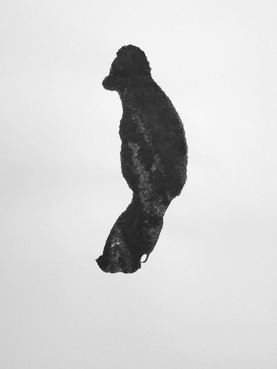 Nimetön, 2009 (monotypia) tekijältä Richard Green