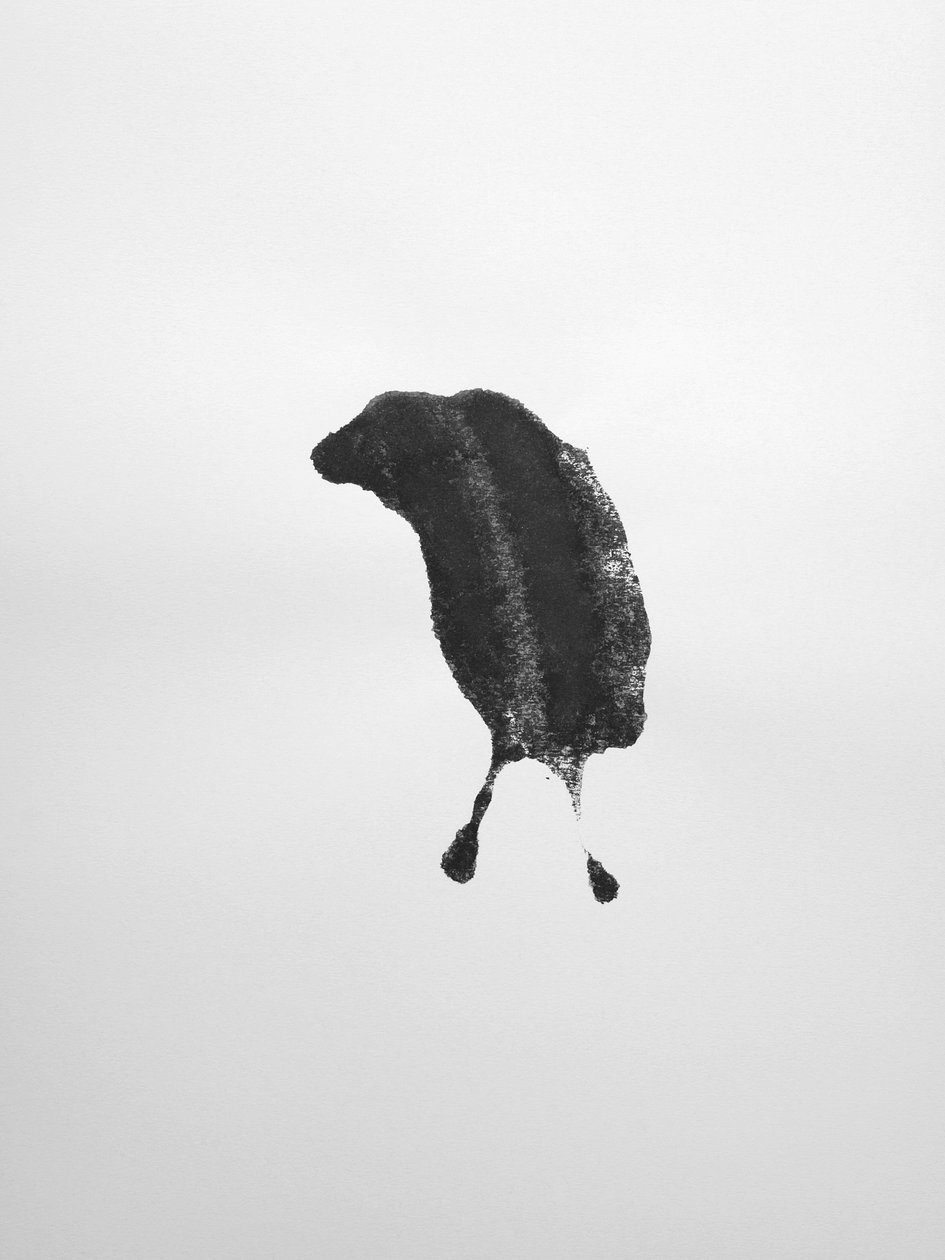 Nimetön, 2009 (monotypia) tekijältä Richard Green