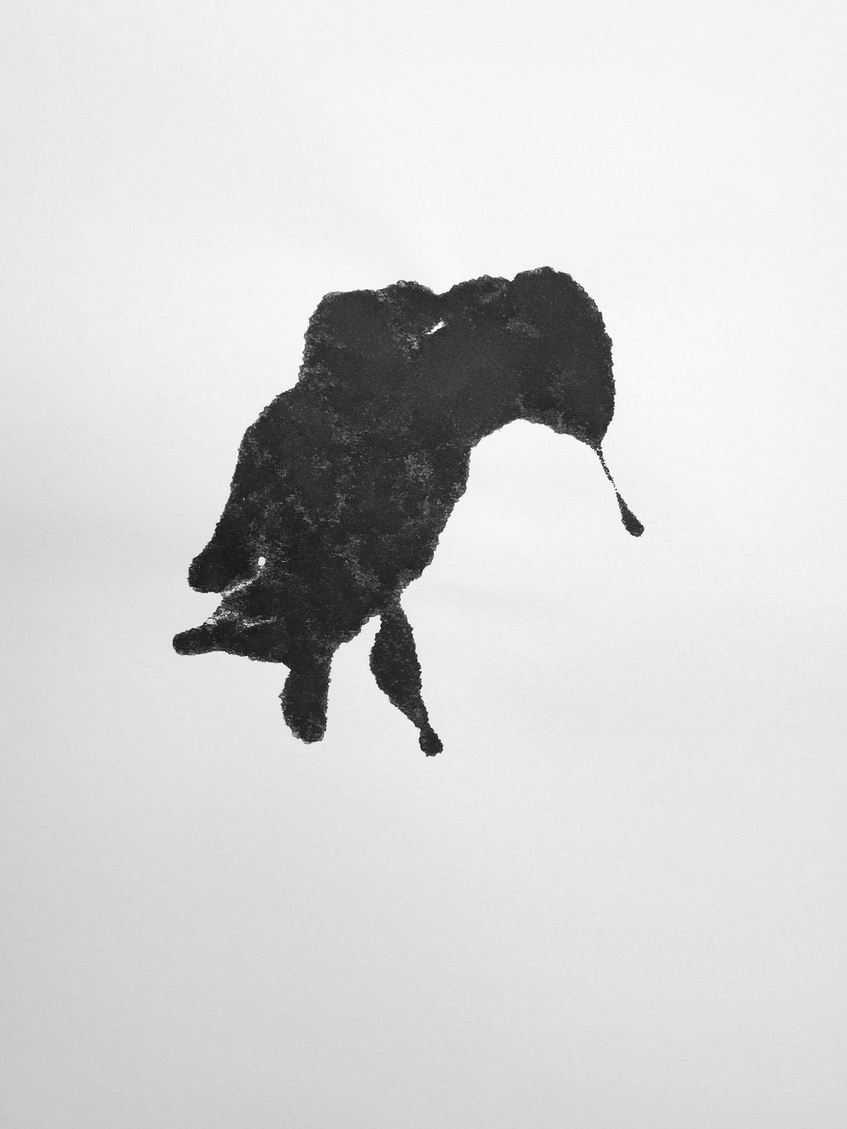 Nimetön, 2009 (monotypia) tekijältä Richard Green