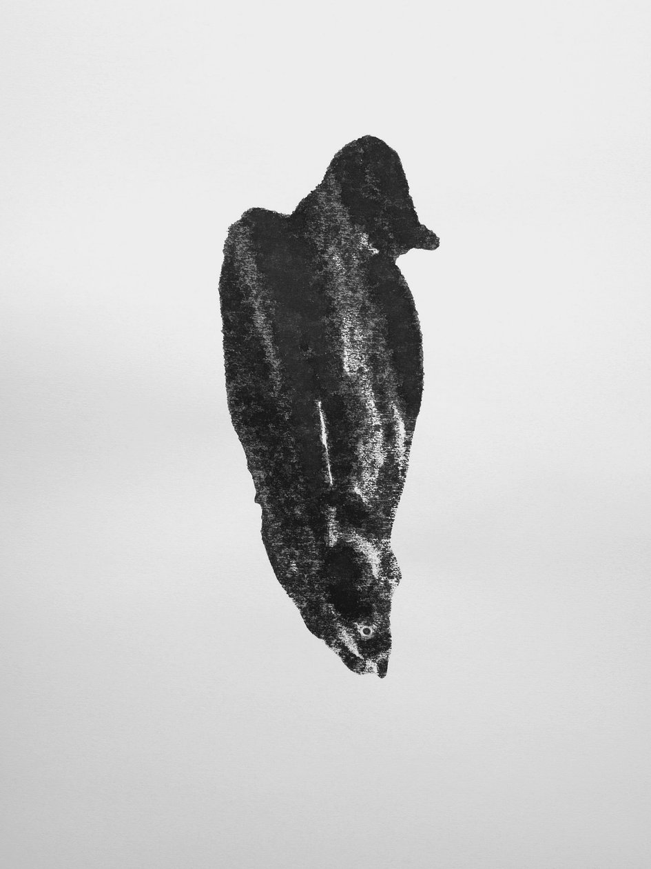 Nimetön, 2009 (monotypia) tekijältä Richard Green