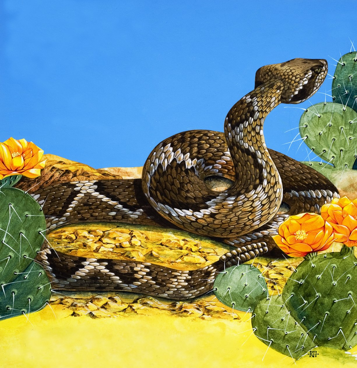 The Rattlesnake