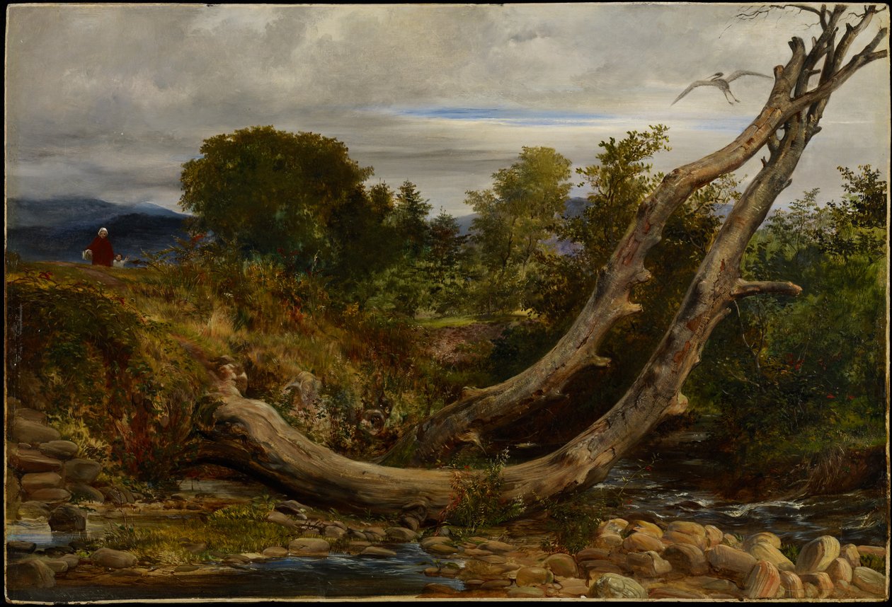 The Heron Disturbed, n. 1850 (öljy myllylevylle) tekijältä Richard Redgrave