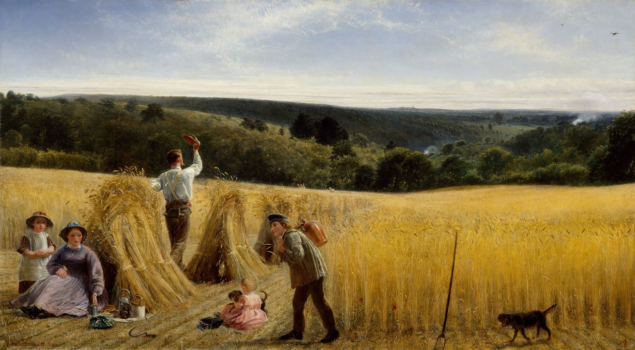 Laaksot ovat täynnä maissia, 1865. tekijältä Richard Redgrave