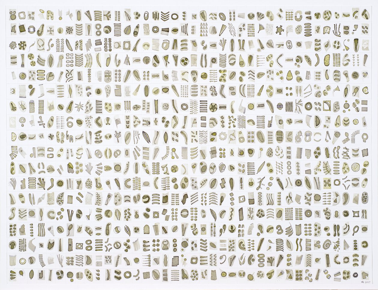 Micrarium No.10 , 2017 (tussi paperille) tekijältä Rika Newcombe