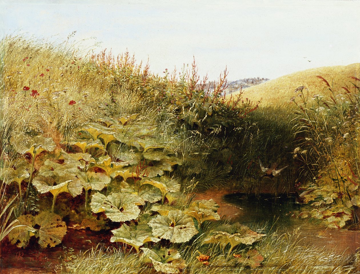 Hiljainen Dell tekijältä Robert Collinson