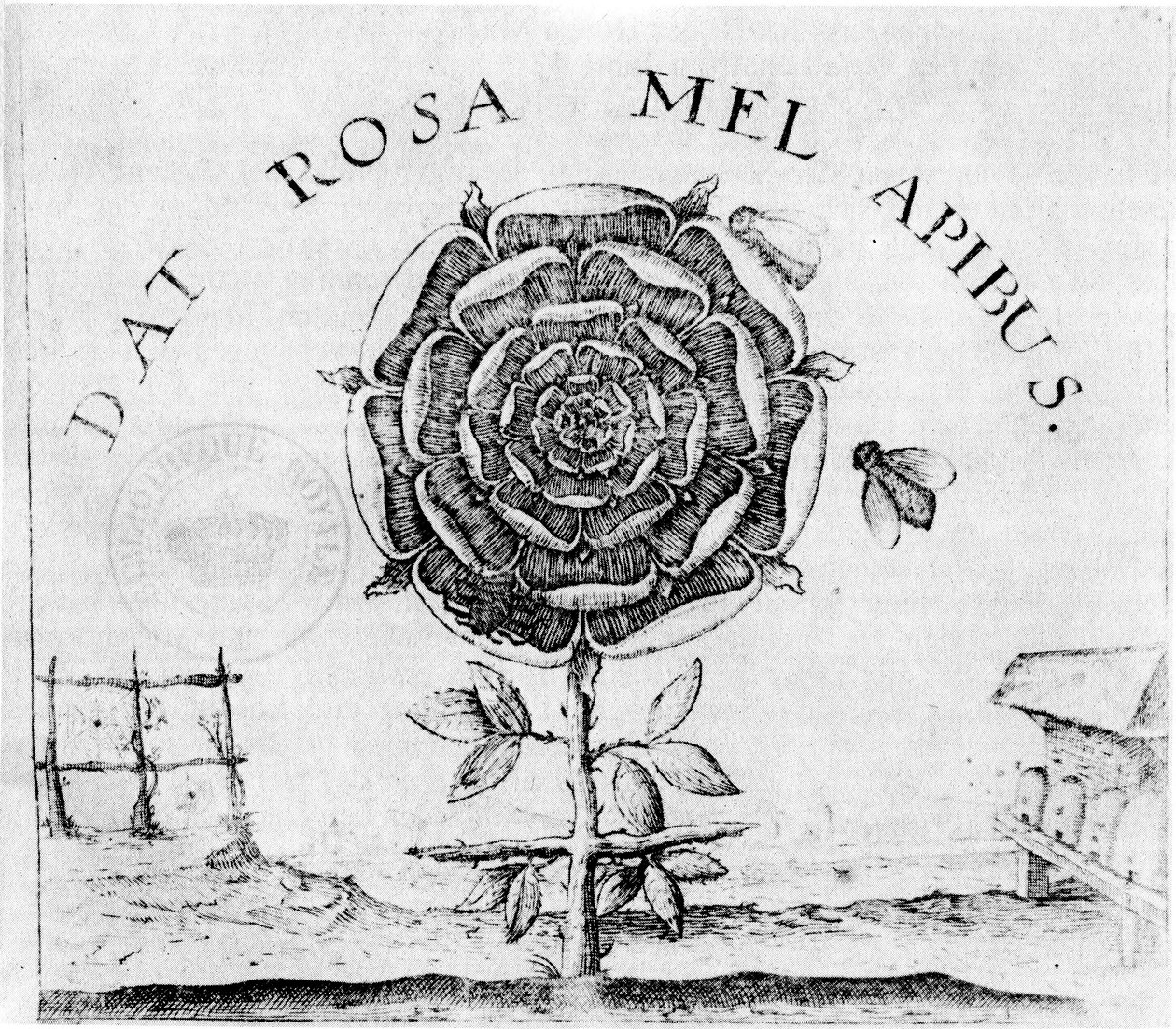 Summum Bonumin sivu tekijältä Robert Fludd
