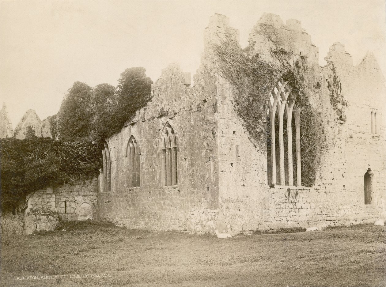 Askeaton Abbey (seepiakuva) tekijältä Robert French