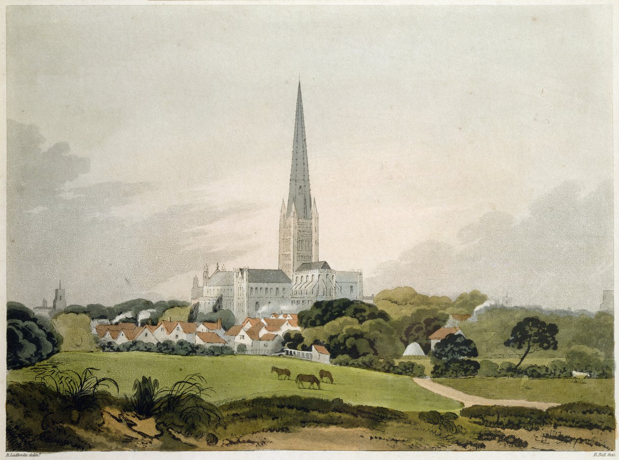 Norwichin katedraali, 1802, kaiverrus Edward Bell (fl.1794-1847) (painettu) tekijältä Robert Ladbrooke