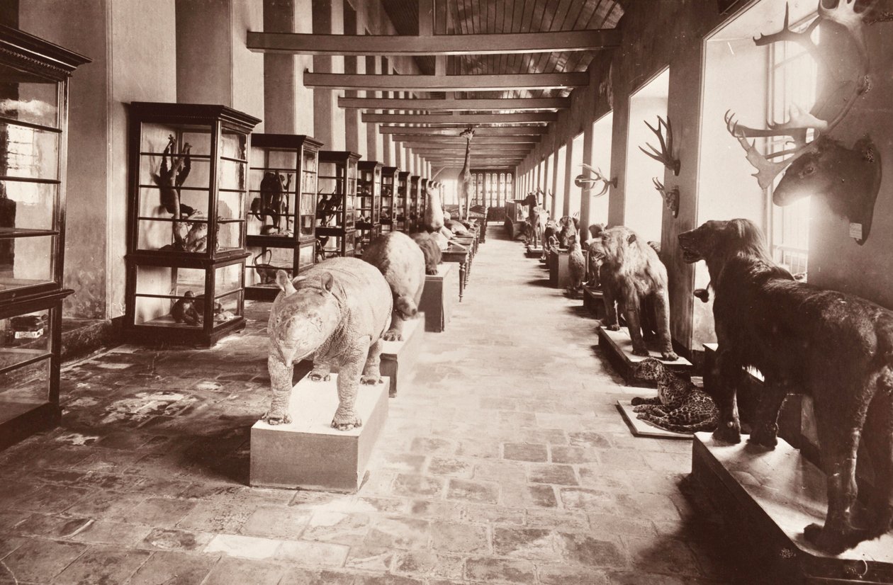 Bangkokin kansallismuseo, noin 1890 tekijältä Robert Lenz