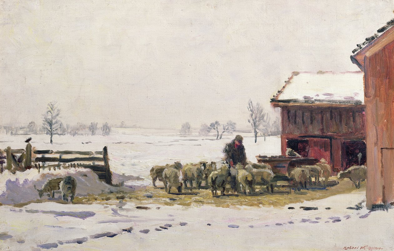 Lampaiden ruokinta talvella tekijältä Robert Weir Allan