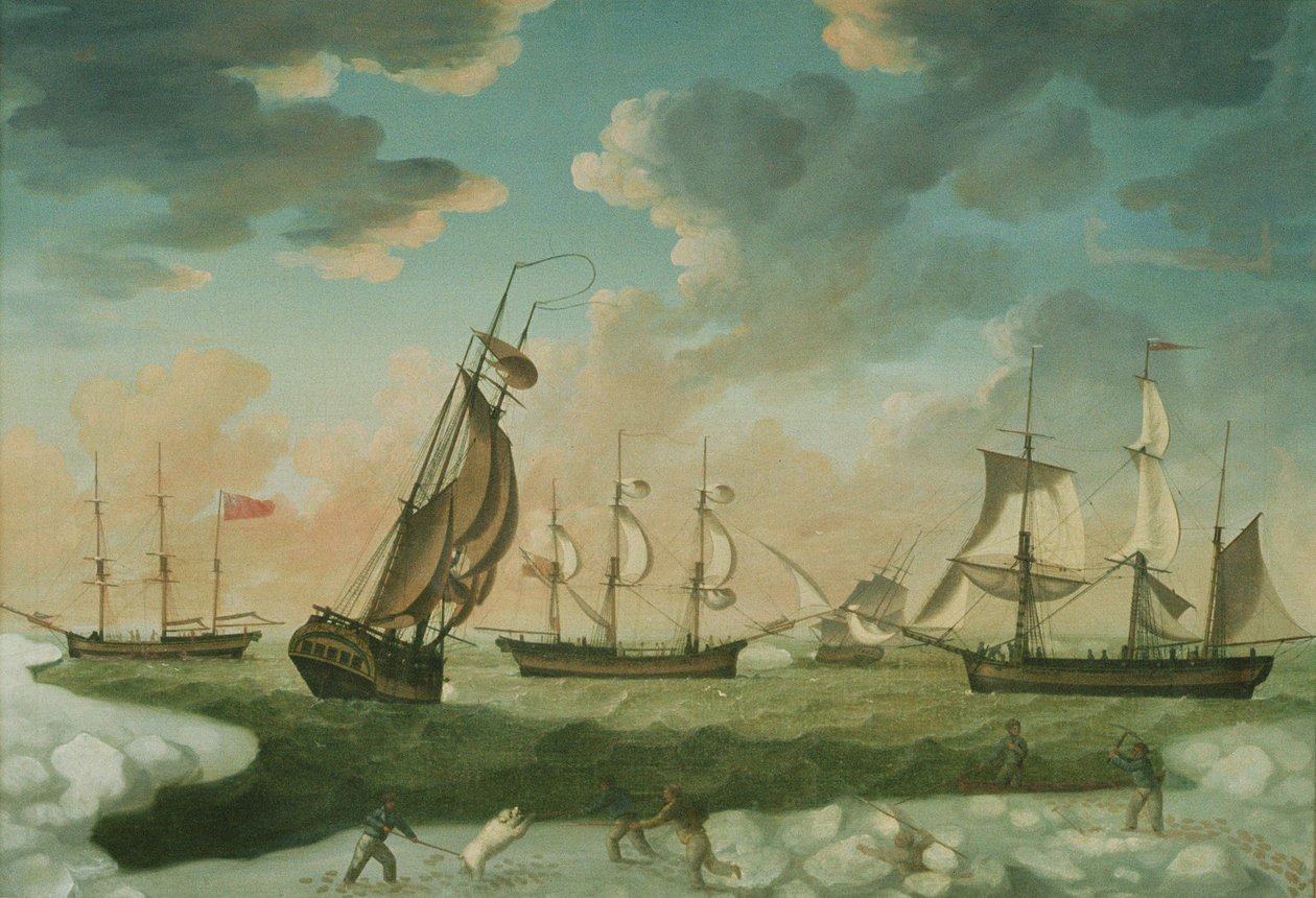 Arctic Scene tekijältä Robert Willoughby