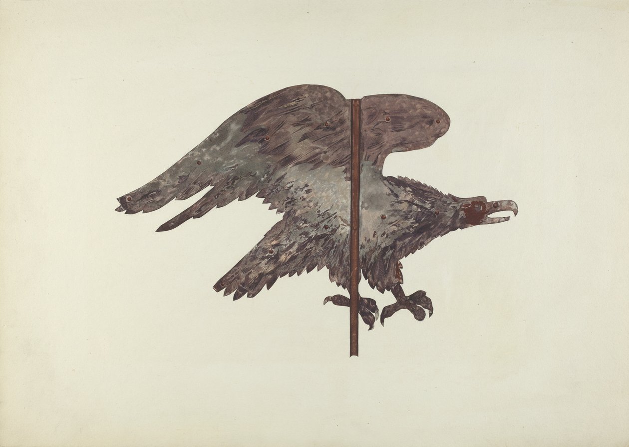 Flying Eagle tuuliviiri tekijältä Robert Barton