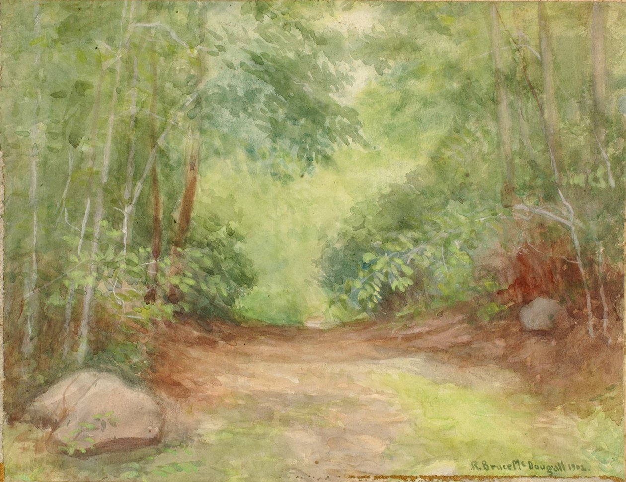 Nimetön metsäkohtaus, 1902. tekijältä Robert Bruce McDougall