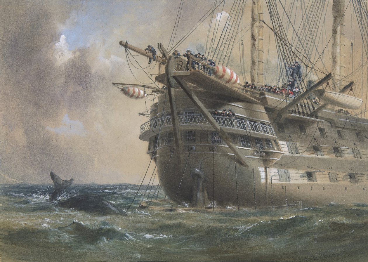 H.M.S. Agamemnon laskemassa Atlantin lennätinkaapelia vuonna 1858: Valas ylittää linjan, 1865-66. tekijältä Robert Charles Dudley